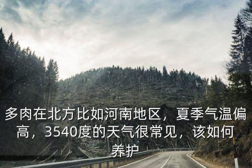 河南地區冬季多肉怎么養,多肉在北方比如河南地區