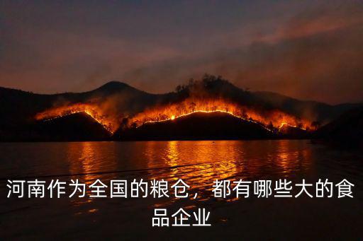 河南作為全國的糧倉，都有哪些大的食品企業