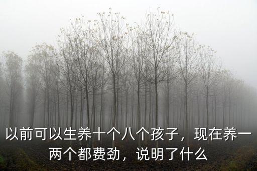 以前可以生養十個八個孩子，現在養一兩個都費勁，說明了什么