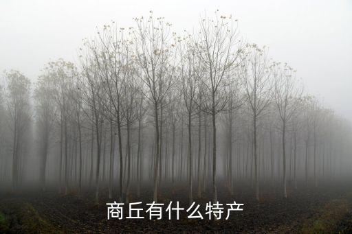 商丘有什么特產