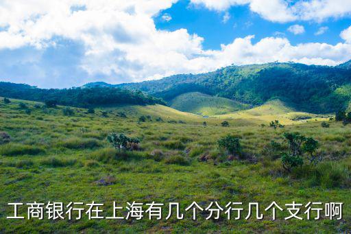 工商銀行在上海有幾個分行幾個支行啊