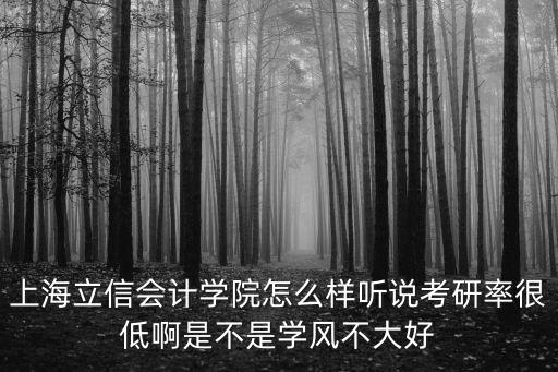 上海立信會計，上海立信會計學院怎么樣啊