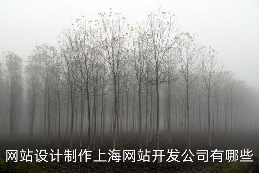 網站設計制作上海網站開發公司有哪些