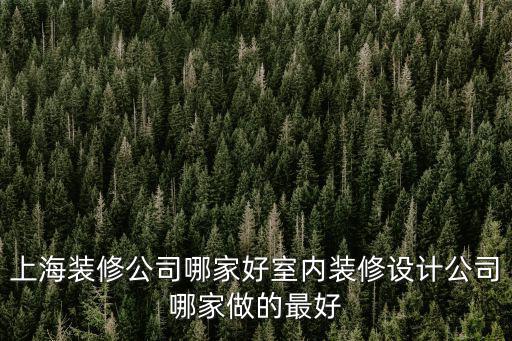 上海裝修公司哪家好室內(nèi)裝修設(shè)計公司哪家做的最好