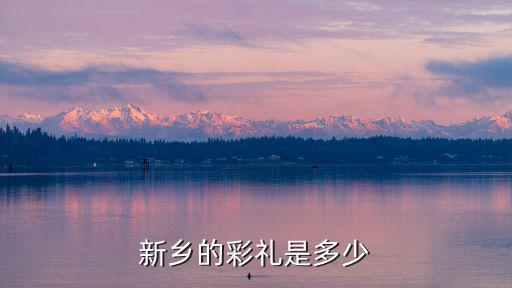 新鄉的彩禮是多少