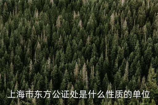 上海市東方公證處是什么性質(zhì)的單位