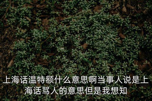 上海話罵人，上海話罵人腦子有病什么意思
