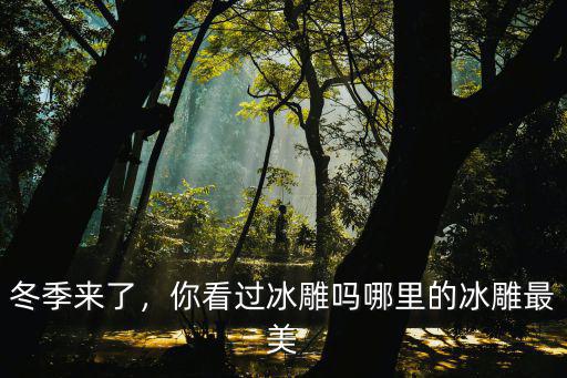 濮陽哪里可以看冰雕,哪里的冰雕最美