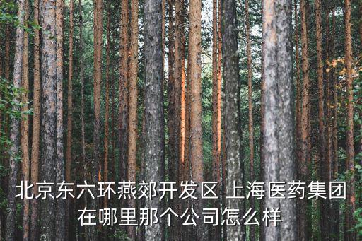 上海醫藥集團股份有限公司，上海醫藥集團有限公司40股權司法委托拍賣項目司法拍賣要停牌嗎