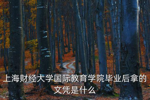 上海財經大學國際教育學院畢業后拿的文憑是什么