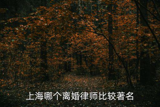 上海哪個(gè)離婚律師比較著名