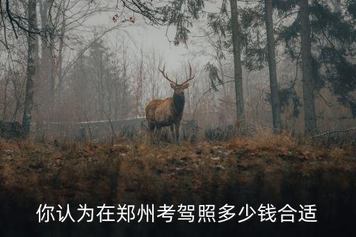 鄭州華洋駕校在哪里,鄭州駕校有哪些值得去的