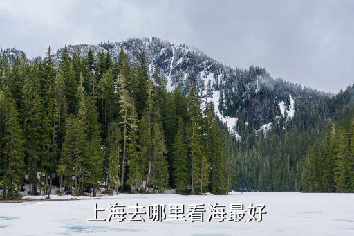 上海看海，上海在哪里看海比較好