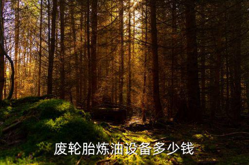 廢輪胎煉油設備多少錢