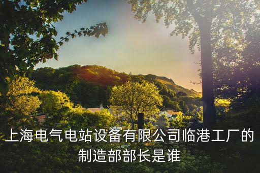 上海電氣電站設(shè)備有限公司臨港工廠的制造部部長是誰