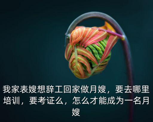三門峽月嫂培訓怎么考證,月嫂正規考證培訓哪里有