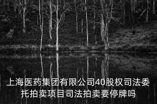 上海醫藥集團有限公司40股權司法委托拍賣項目司法拍賣要停牌嗎
