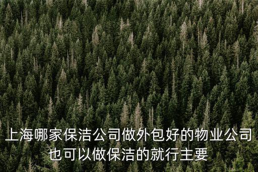 上海哪家保潔公司做外包好的物業(yè)公司也可以做保潔的就行主要
