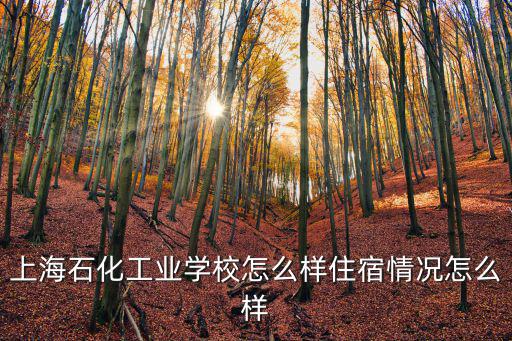 上海石化工業學校怎么樣住宿情況怎么樣