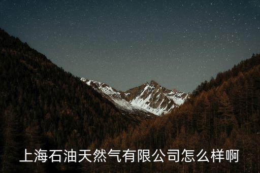上海石油天然氣有限公司怎么樣啊