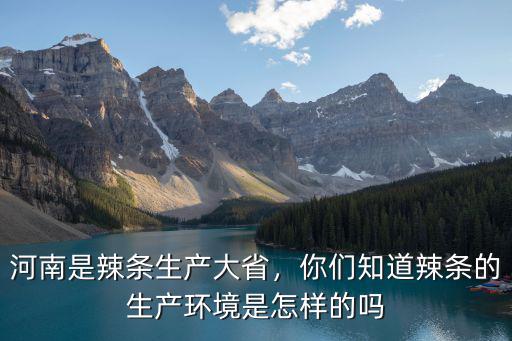 河南哪里辣條機好,河南是辣條生產大省