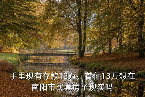 手里現有存款13萬，首付13萬想在南陽市買套房子現實嗎