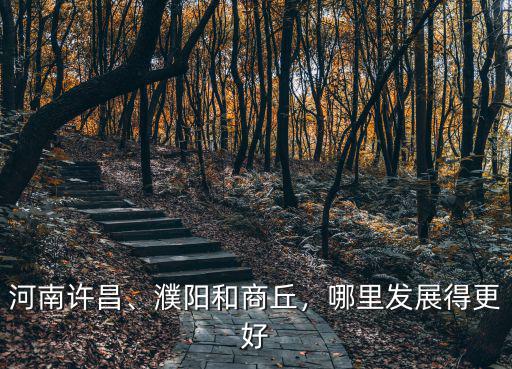 河南許昌、濮陽和商丘，哪里發展得更好
