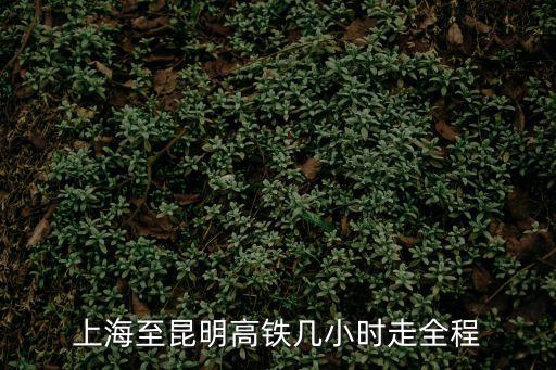 上海到昆明高鐵，上海至昆明高鐵幾小時走全程