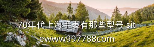 70年代上海手表有那些型號 sitewww997788com