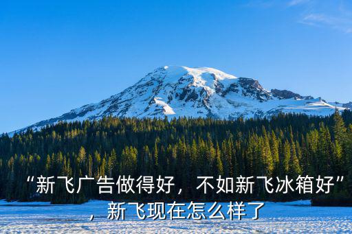 河南新飛電烤箱怎么樣,新飛現(xiàn)在怎么樣了