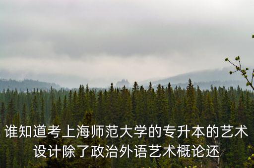誰知道考上海師范大學的專升本的藝術設計除了政治外語藝術概論還