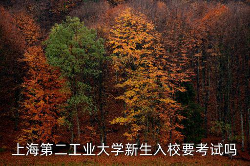 上海第二工業(yè)大學(xué)新生入校要考試嗎