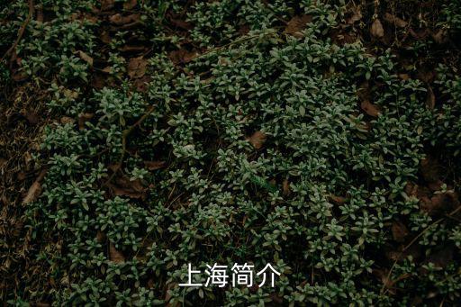 上海簡介
