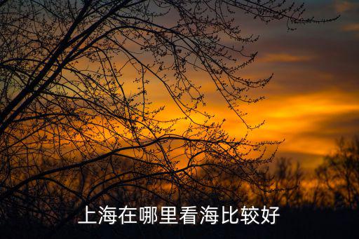 上海在哪里看海比較好