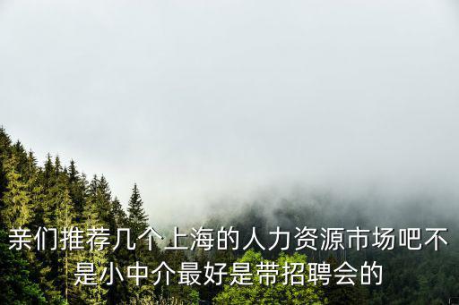 上海人力資源，上海市大一點(diǎn)的人力資源市場(chǎng)有哪些