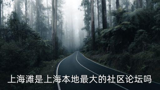 上海灘是上海本地最大的社區(qū)論壇嗎