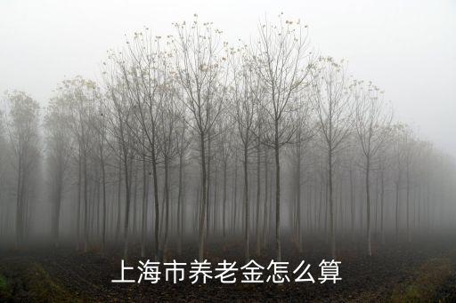 上海市養(yǎng)老金怎么算