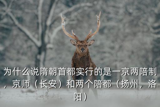 為什么說隋朝首都實行的是一京兩陪制，京師（長安）和兩個陪都（揚州，洛陽）