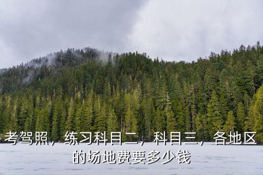 南陽市科目三模擬多少錢,科目二模擬費500