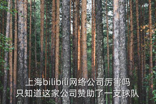 上海嗶哩嗶哩籃球隊，上海嗶哩嗶哩籃球隊現任教練是誰