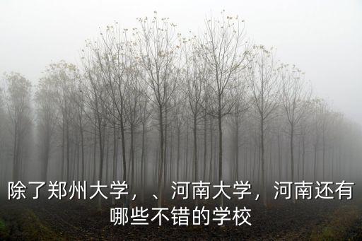 除了鄭州大學(xué)，、河南大學(xué)，河南還有哪些不錯(cuò)的學(xué)校