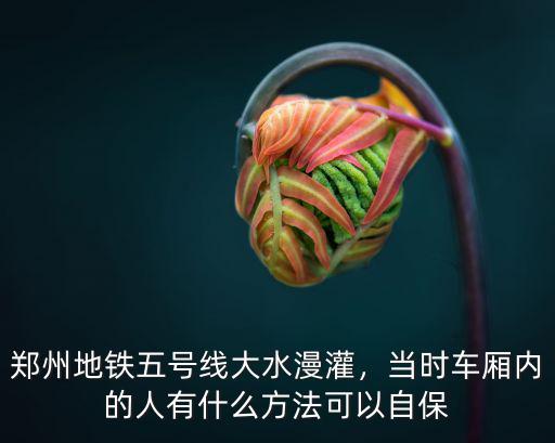 鄭州五號線傷亡到底多少,鄭州地鐵五號線大水漫灌