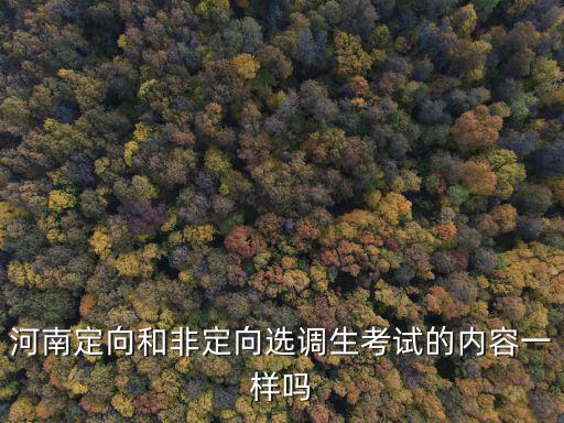 新鄉(xiāng)的定向選調(diào)生怎么分配,定向選調(diào)生分配到區(qū)里
