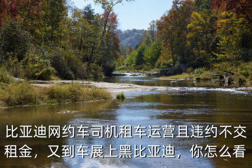 安陽比亞迪出租車怎么租,新能源出租車怎么樣