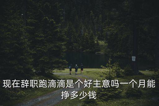 現在辭職跑滴滴是個好主意嗎一個月能掙多少錢