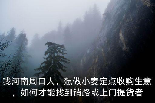 我河南周口人，想做小麥定點(diǎn)收購生意，如何才能找到銷路或上門提貨者