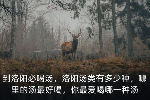 到洛陽必喝湯，洛陽湯類有多少種，哪里的湯最好喝，你最愛喝哪一種湯