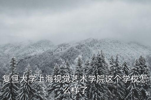 復旦大學上海視覺藝術學院，復旦大學上海視覺藝術學院這個學校怎么樣了