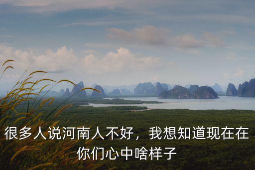 很多人說河南人不好，我想知道現在在你們心中啥樣子