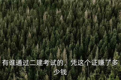 有誰通過二建考試的，憑這個證賺了多少錢